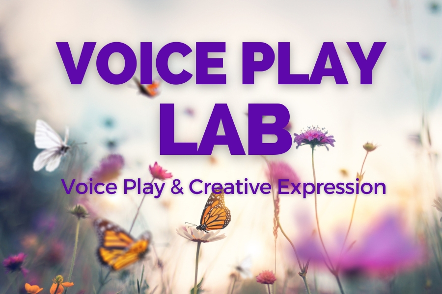 VOICE PLAY LAB